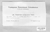 Image Associated With the Occurence